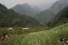 Opium Valleys of Arunachal